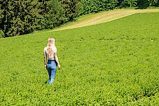 Österreichische Bergkräutergenossenschaft eGen footer image 2